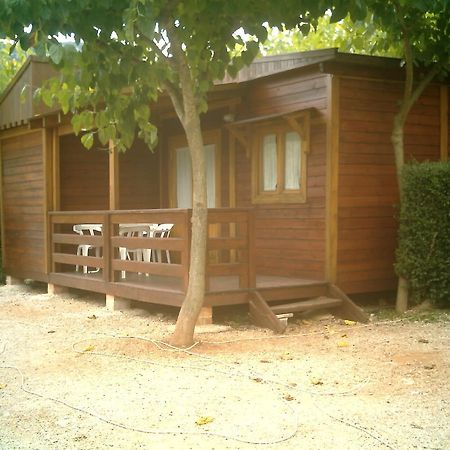 Cabanas Y Bungalows La Falaguera Bárig Eksteriør bilde